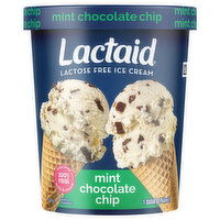 Lactaid Lactose Free Mint Chocolate Chip Ice Cream