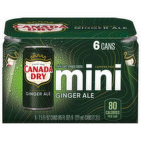 Canada Dry Caffeine Free Mini Ginger Ale - 6 Each