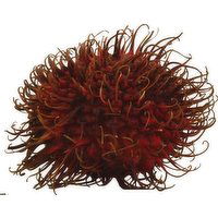 Rambutan 8 oz - 8 Ounce