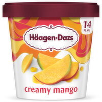 Haagen-Dazs Creamy Mango Ice Cream - 14 Fluid ounce
