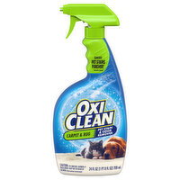 Oxi Clean Carpet Pet Stain Remover - 24 Ounce