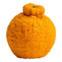 Sumo Mandarins, 1 Pound