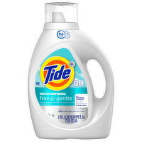 Tide LQ HE Free & Gentle - 73 Ounce