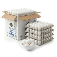 First Street Eggs, Grade AA, Large Loose - 150 Each