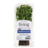 North Shore Living Herbs Tarragon - 1 Each