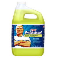 Mr. Clean Professional Professional No-Rinse Floor Cleaner, 1 Gallon (Case of 4) - 1 Gallon