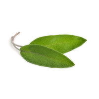 Fresh Sage Ea. - 1 Each