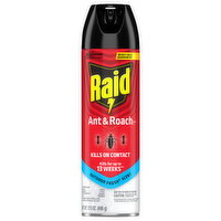 Raid Outdoor Fresh Scent Ant & Roach Killer 26