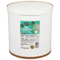 First Street Ice Cream, Mint Chocolate Chip, Premium - 3 Gallon