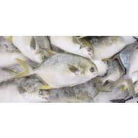 Whole Pompano - 1.37 Pound