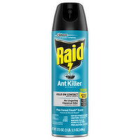 Raid Ant Killer, Pine Forest Fresh Scent, Defense System