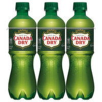 Canada Dry Ginger Ale, Caffeine Free, 6-Pack, 6 Each