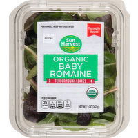 Sun Harvest Baby Romaine, Organic