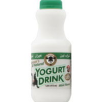 Karoun Yogurt Drink, Mint Flavor - 1 Pint