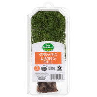 Sun Harvest Living Dill, Organic - 1 Each