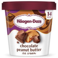 Haagen-Dazs Chocolate Peanut Butter Ice Cream - 14 Fluid ounce