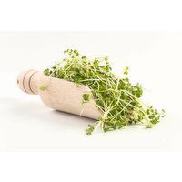 Organic Broccoli Sprouts 2 OZ - 2 Ounce