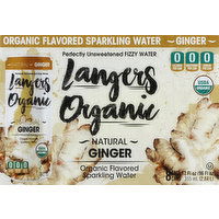 Langers Sparkling Water, Ginger, 8 Each