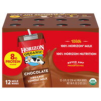 Horizon Organic Organic Lowfat Chocolate Milk - 12 Each
