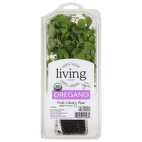 North Shore Living Herbs Oregano - 1 Each