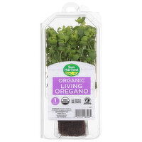 Sun Harvest Living Oregano, Organic - 1 Each