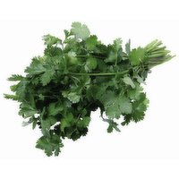 Living Cilantro 1 CT., 1 Each