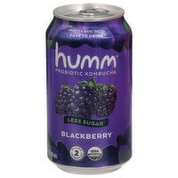 Humm Less Sugar Blackberry Probiotic Kombucha - 12 Fluid ounce