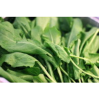 RFF Organic Baby Arugula 2 lb - 2 Pound