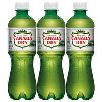 Canada Dry Ginger Ale, Zero Sugar, Caffeine Free - 101.4 Ounce