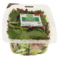 Sun Harvest Half & Half Blend Organic Baby Spinach & Spring Mix - 10 Ounce