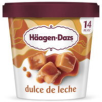 Haagen-Dazs Dulce de Leche Ice Cream - 14 Fluid ounce
