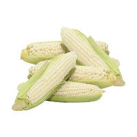 Fresh Corn