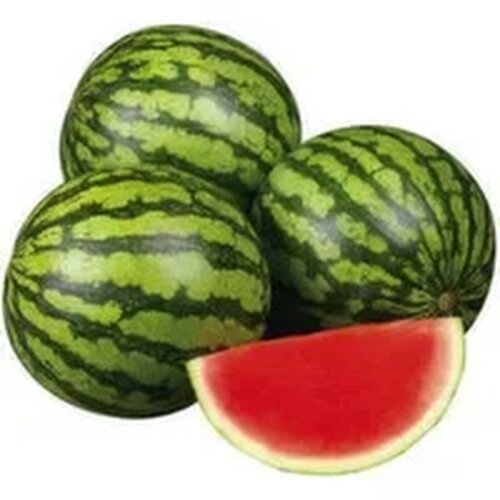 Seedless Watermelon