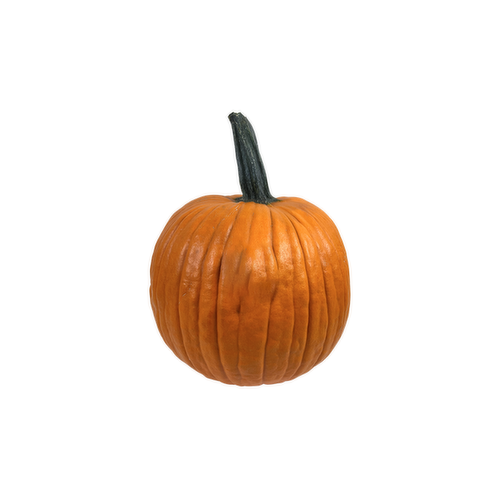 Wicked Stem Pumpkin