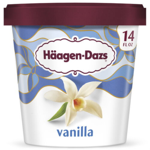 Haagen-Dazs Vanilla Ice Cream Image 1 of 11