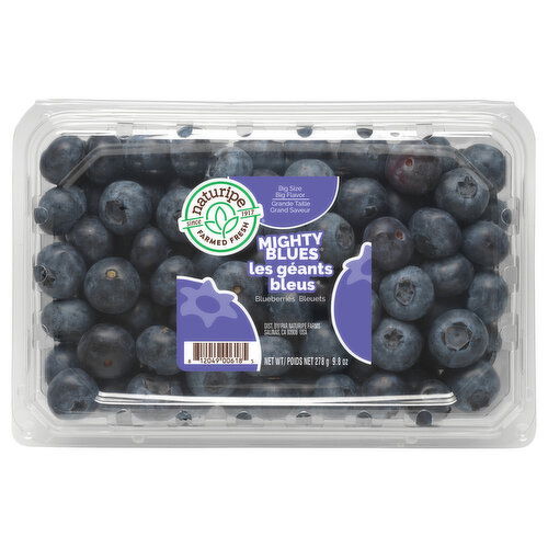 Naturipe Mighty Blues Big Size Blueberries