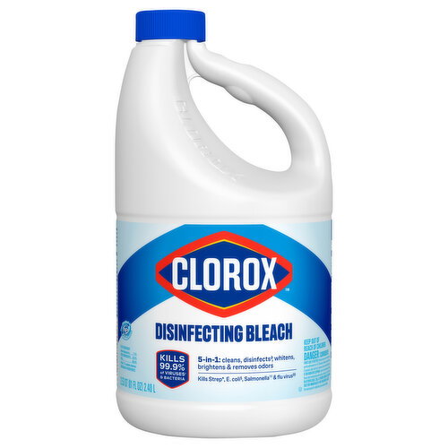 Clorox 5 in 1 Disinfecting Bleach Image 1 of 5