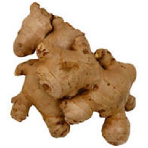 Organic Ginger 8 oz 8 oz