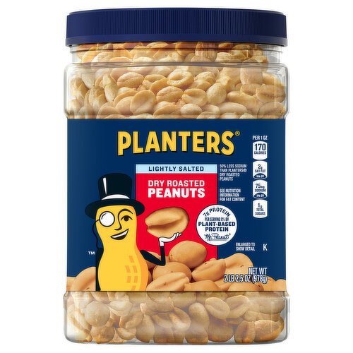Planters Dry Roasted Lightly Salted Peanuts