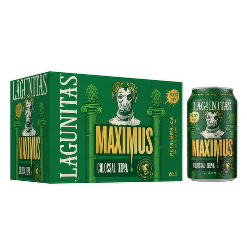 Lagunitas 6 Pack of 12 Fl. Oz. Cans