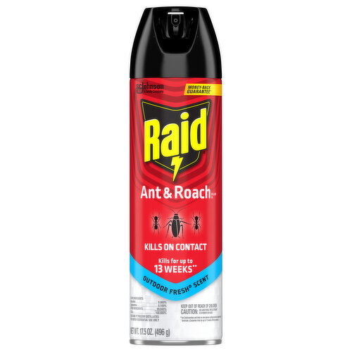 Raid Outdoor Fresh Scent Ant & Roach Killer
