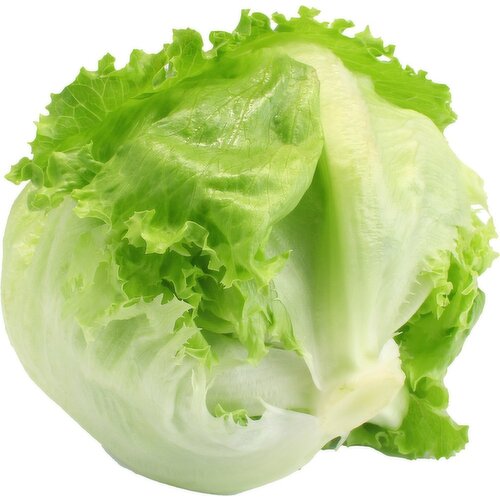 Wrapped Iceberg Lettuce
