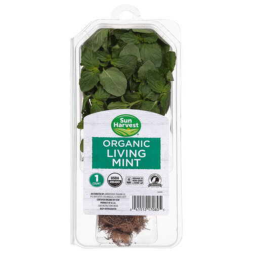 Sun Harvest Living Mint, Organic