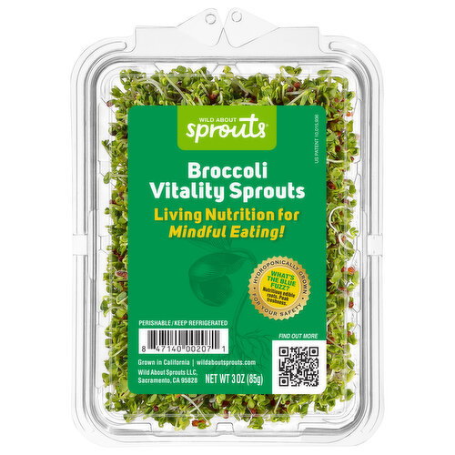 Wild About Sprouts Broccoli Sprouts Image 1 of 4
