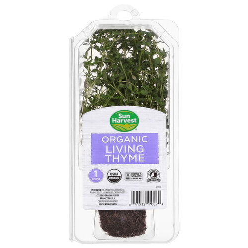 Sun Harvest Living Thyme, Organic