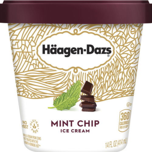 Haagen-Dazs Ice Cream, Mint Chip