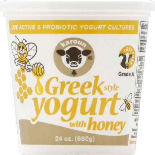 Karoun Yogurt, Greek Style, with Honey