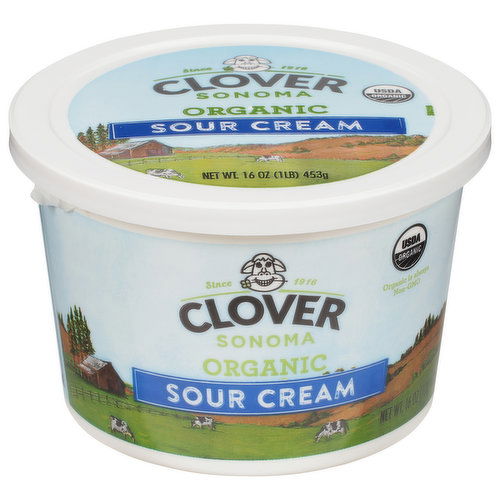 Clover Sonoma Sour Cream, Organic