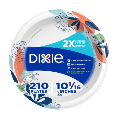 Dixie Plates, 10.0625 Inch