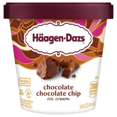 Haagen-Dazs Ice Cream, Chocolate Chocolate Chip